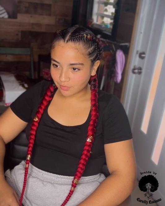 2 Braids + 2 Small Braids on Sides